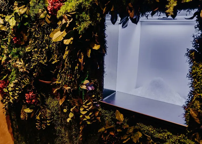 Waldkrug 4* 德尔布鲁克